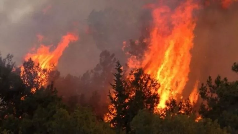 Un hombre de 33 años admitió haber provocado un incendio en un intento de destruir maleza seca en las afueras de la localidad de Ayios Therapon, en Limasol.