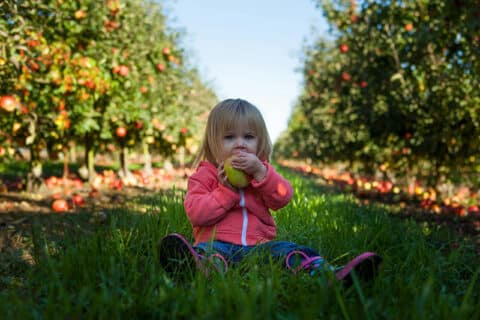 les coûts cachés de l'alimentation