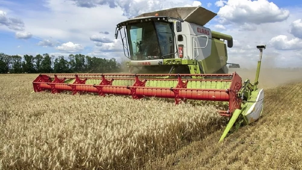 La reducción de las precipitaciones y los últimos días soleados han destruido los cultivos de cereales en las comunidades agrícolas del oeste de Nicosia