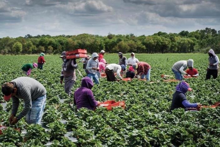 As of October 2023, all asylum seekers in Cyprus must wait nine months after submitting their application before being eligible for employment, regardless of their country of origin