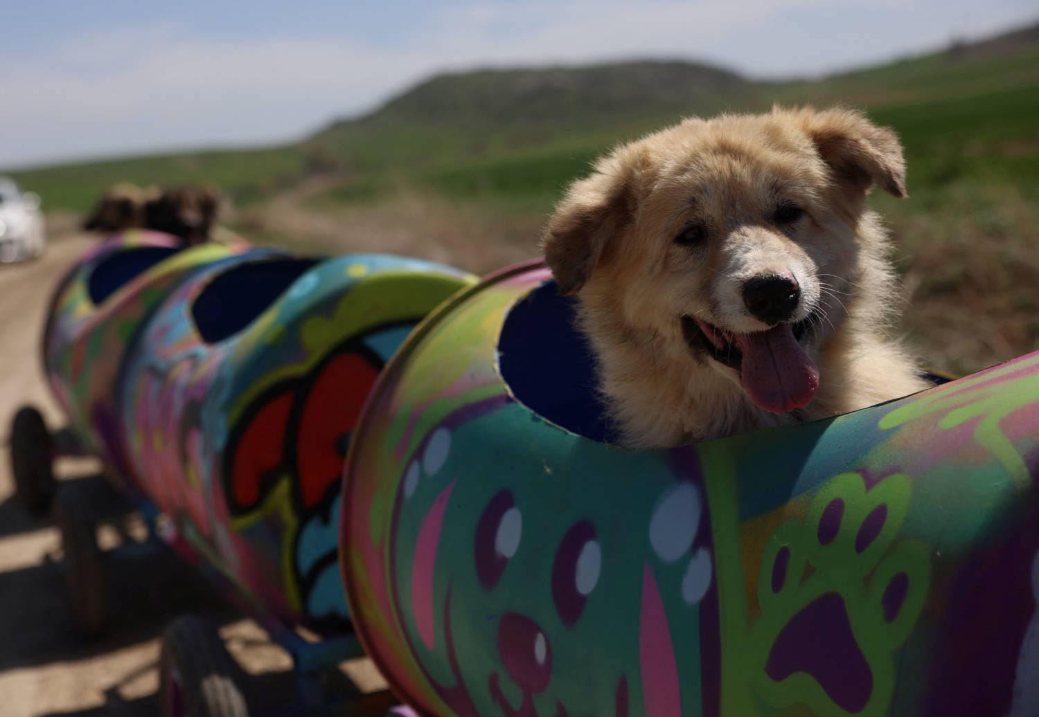 Um amante dos animais na Turquia construiu um comboio a partir de barris de plástico para dar boleias diárias a cães deficientes num abrigo nos arredores de Ancara