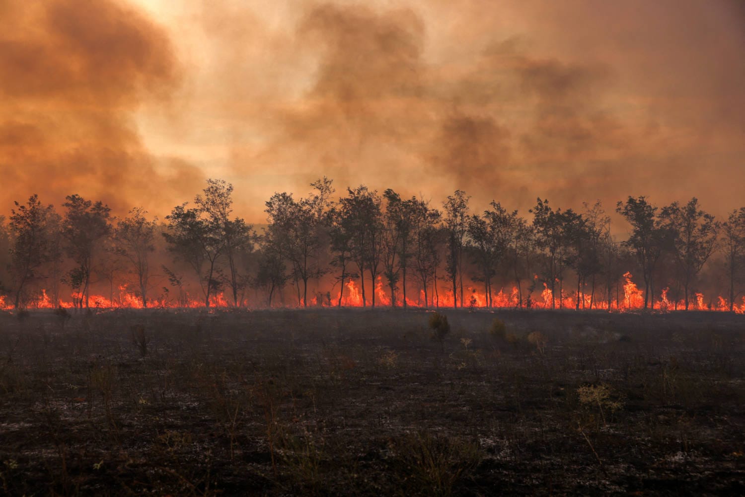 The 2023 wildfire season in Europe was one of the worst this century, with over half a million hectares scorched