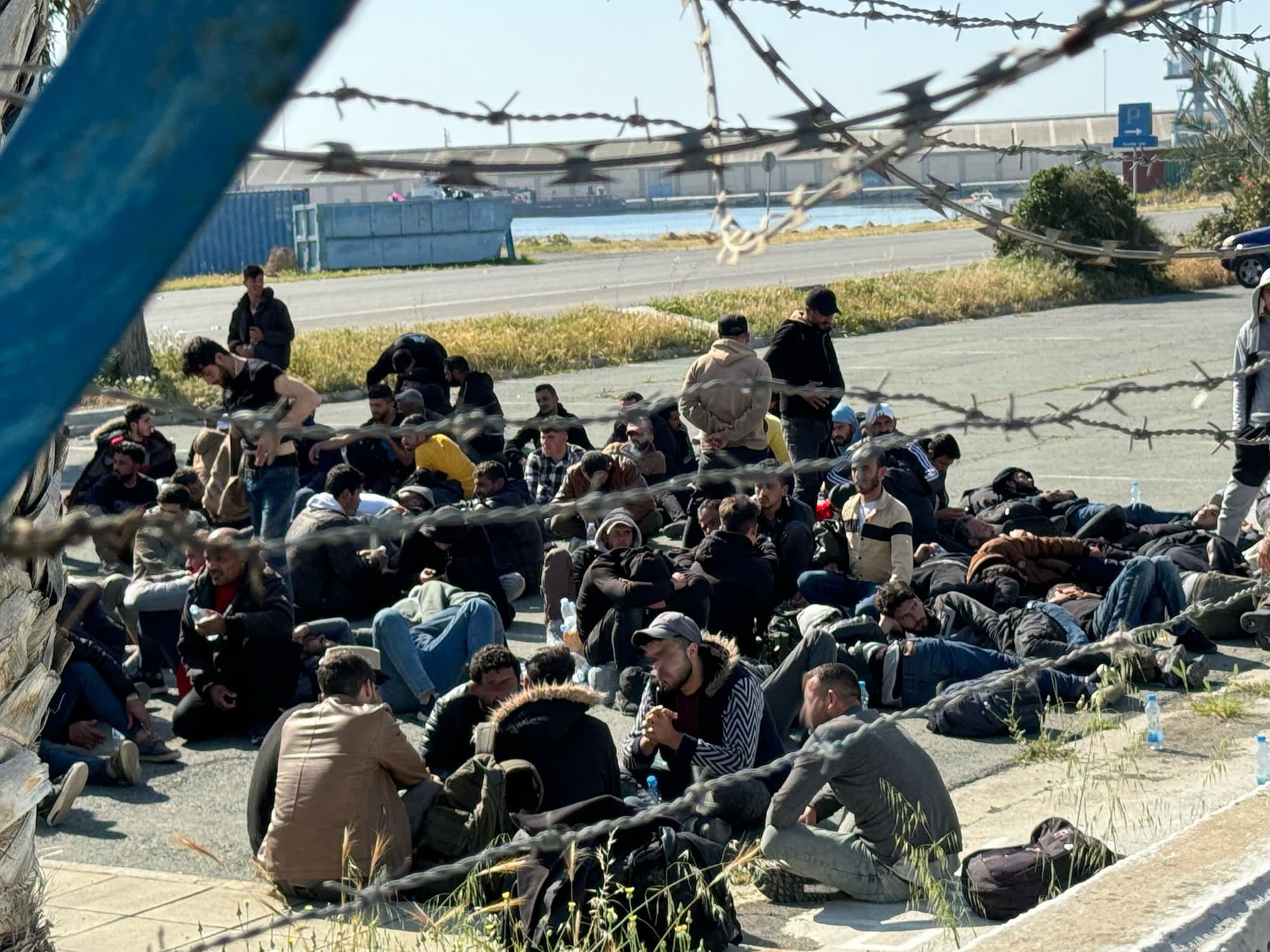migración