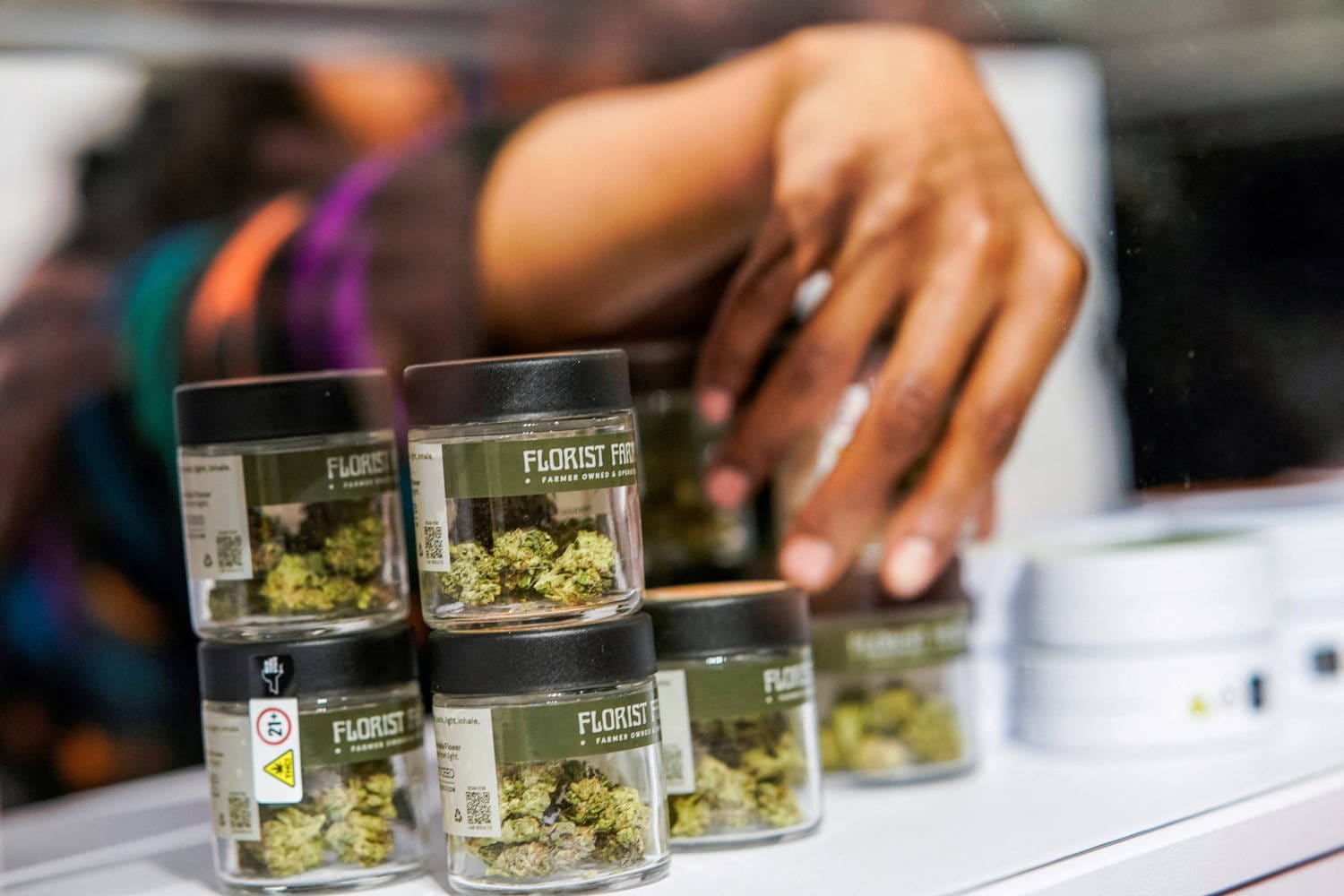 Spanish police led an international operation to arrest a gang that defrauded 645 million euros from victims in 35 countries in a scam involving medicinal cannabis plants