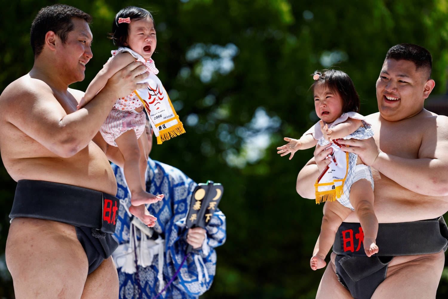 Bebés participan en un ritual tradicional japonés llamado "Nakizumo" en el templo Sensoji de Tokio, Japón, en el que luchadores de sumo aficionados los sostienen y un árbitro intenta hacerlos llorar haciendo muecas y ruidos fuertes.