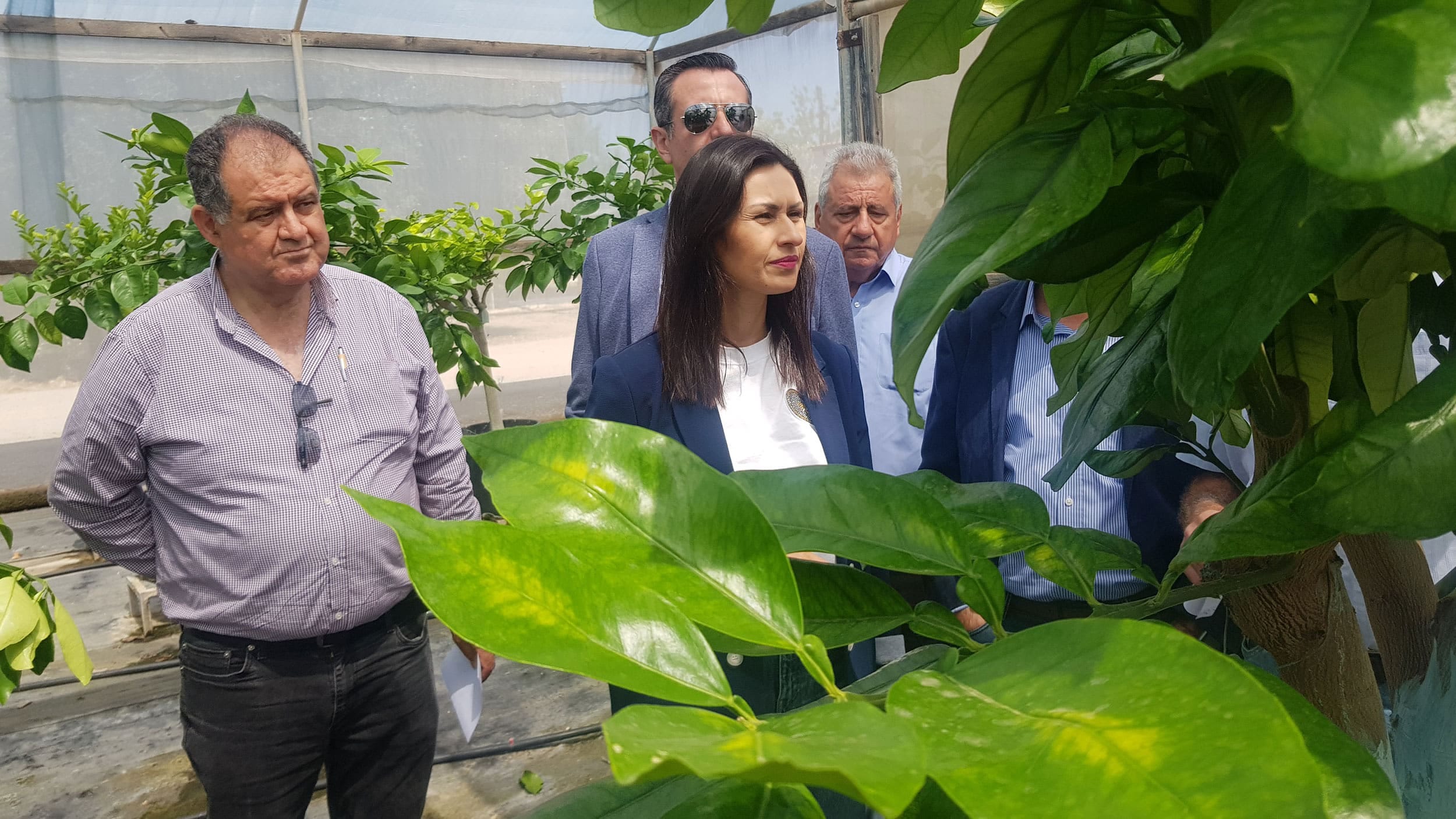 desenvolvimento agrícola