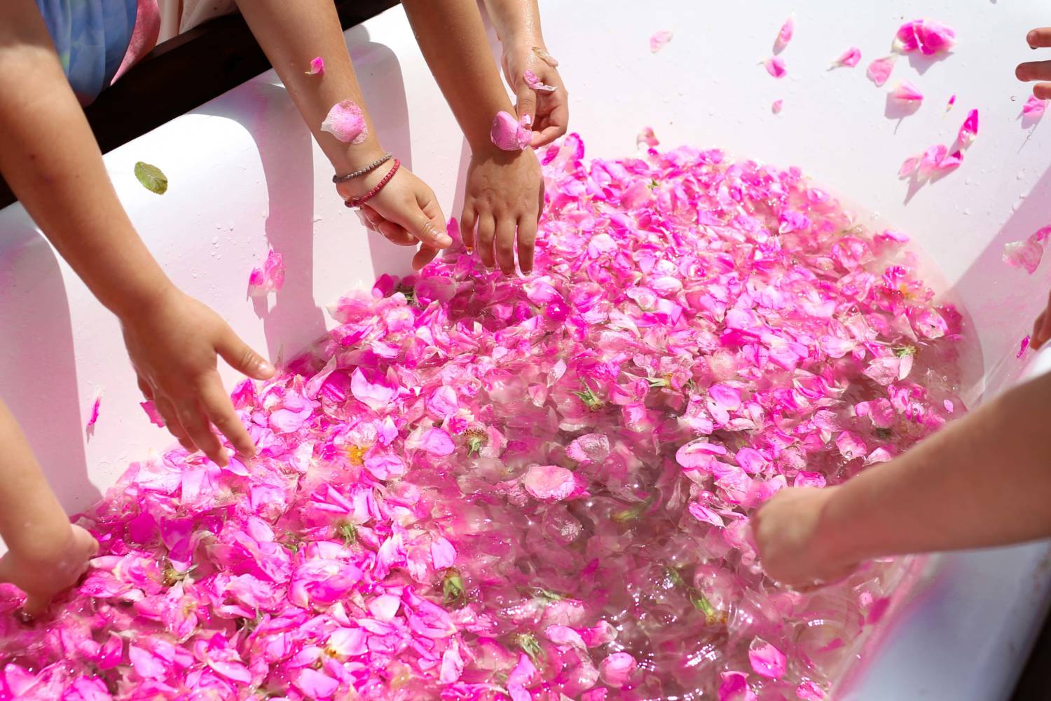 El hecho descrito en el texto es: La gente visita el 16º Festival de las Rosas en Agros, Limassol, Chipre, el 19 de mayo de 2024.