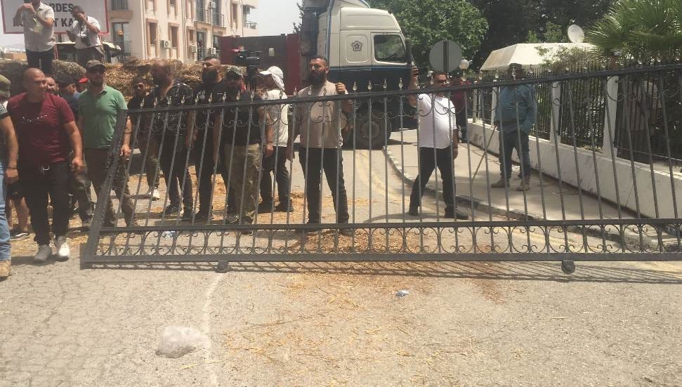протест