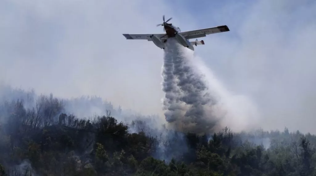 Um incêndio começou perto do cemitério de Moutayiakka, no distrito de Limassol, queimando erva seca e vegetação selvagem