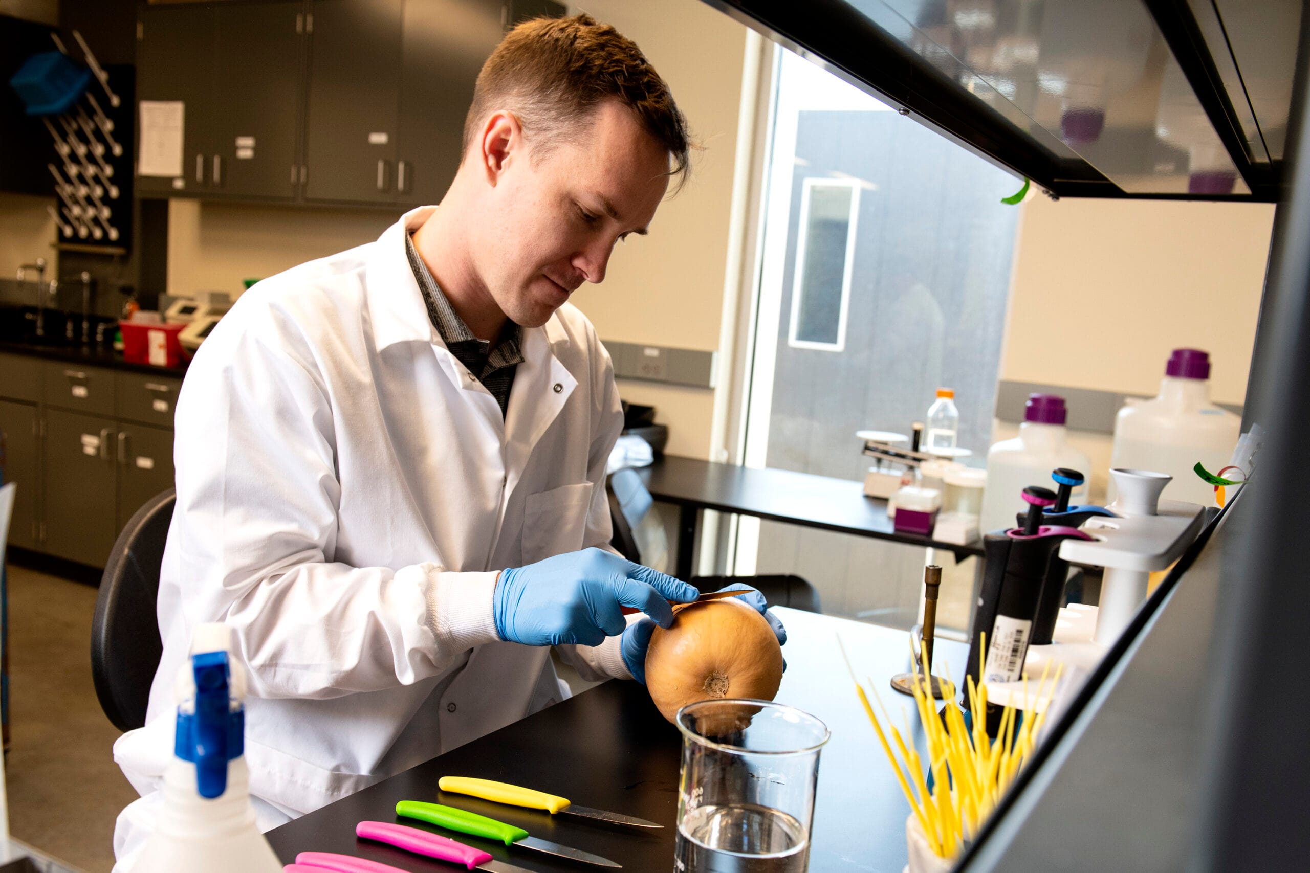 Орган по безопасности пищевых продуктов