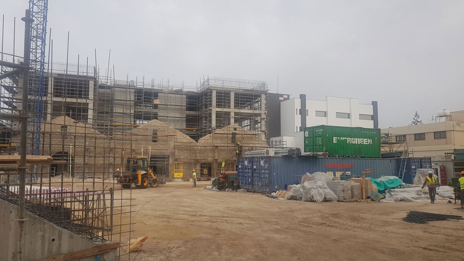 ramos universitários