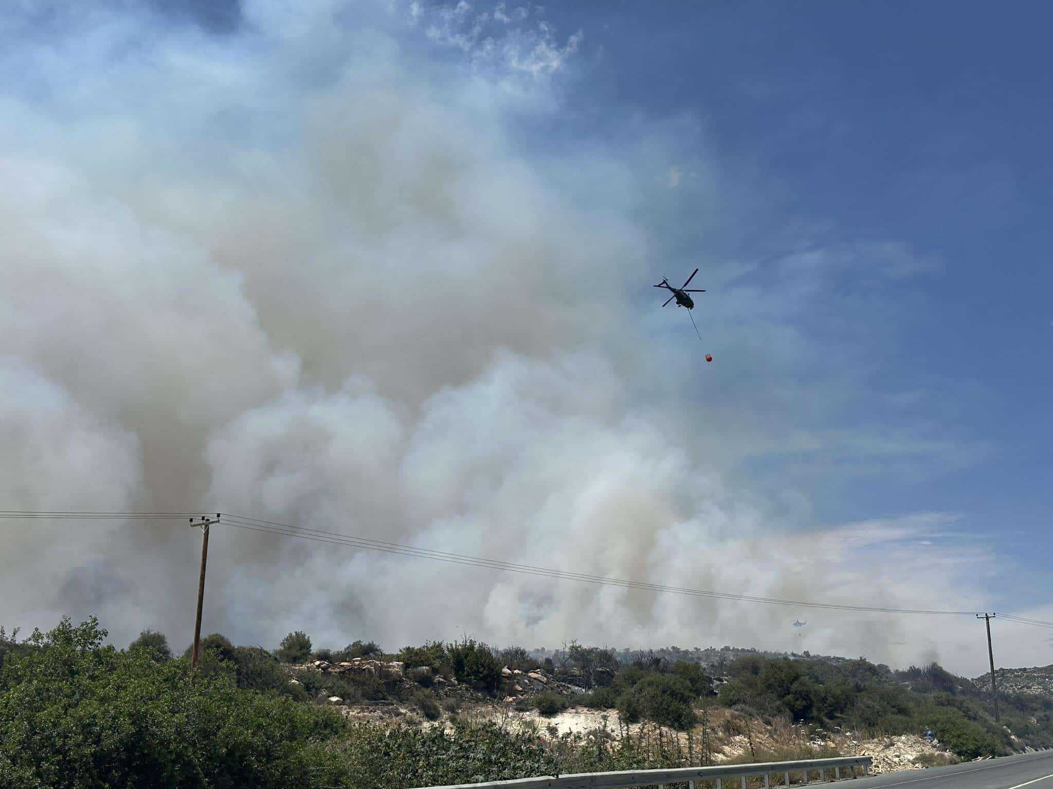 forest fires